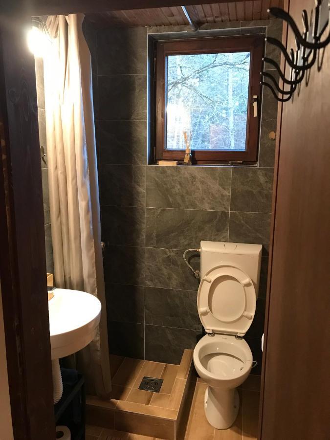 Vila Momo Apartment Zlatibor Exterior photo